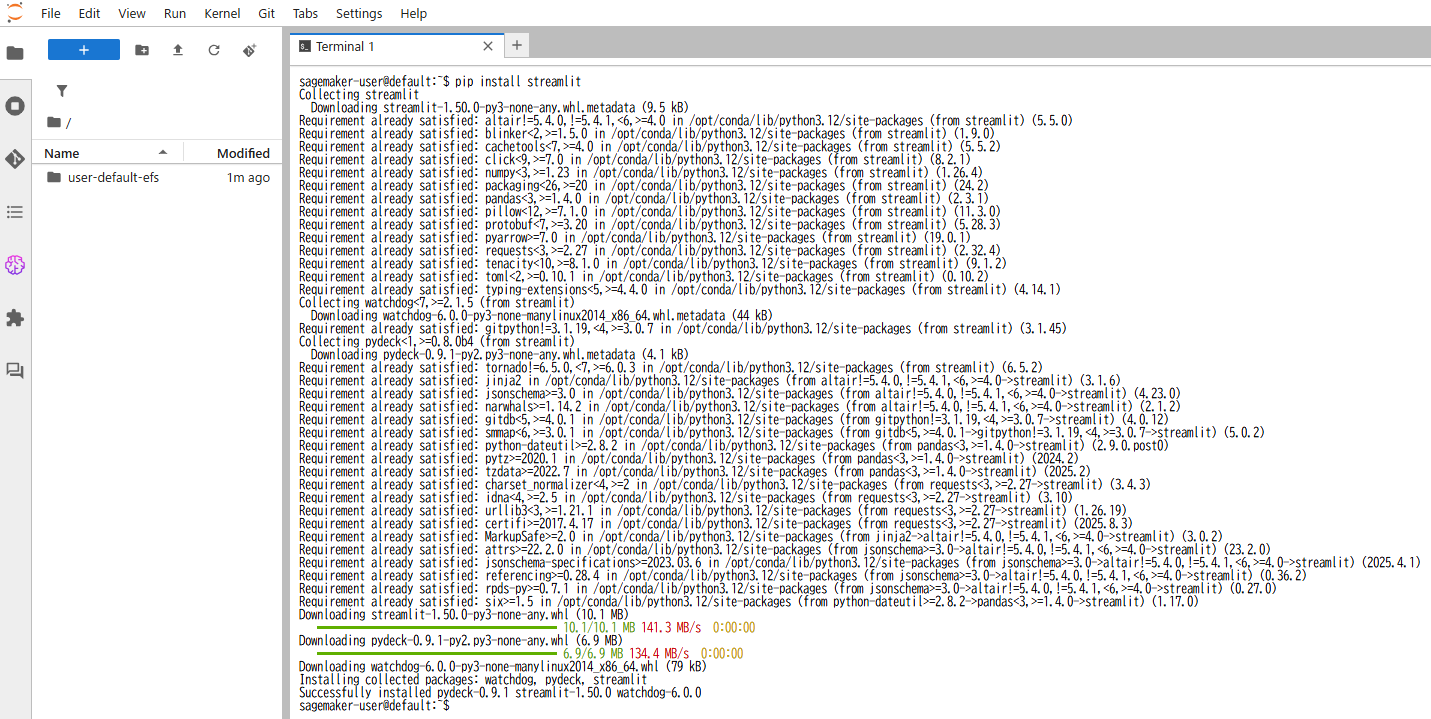11_PipInstallStreamlit.png